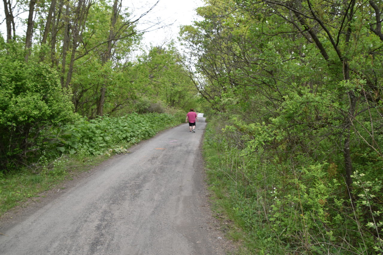 EB1_3113.jpg