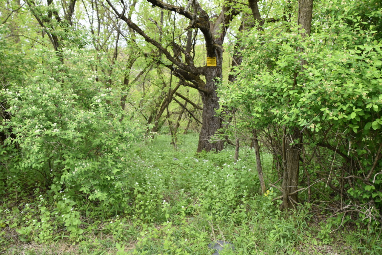 EB1_3114.jpg