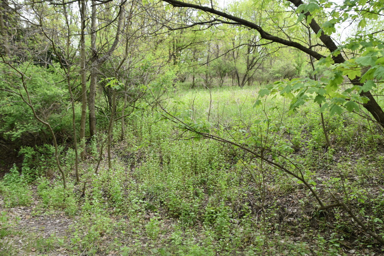 EB1_3118.jpg