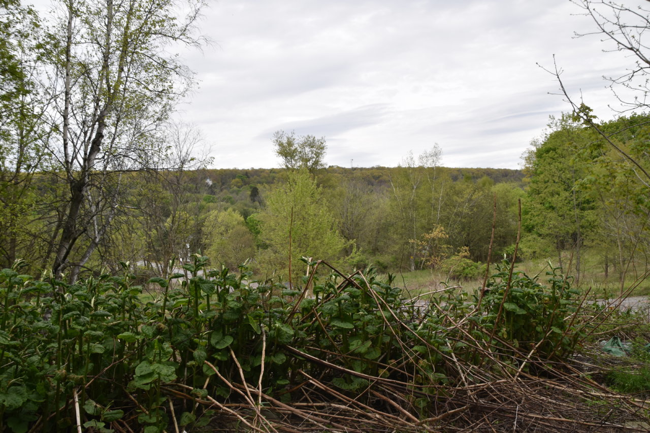 EB1_3119.jpg