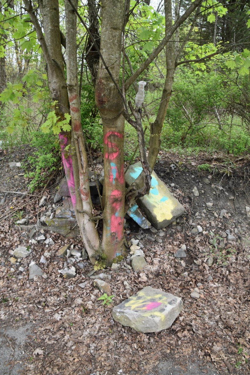 EB1_3121.jpg