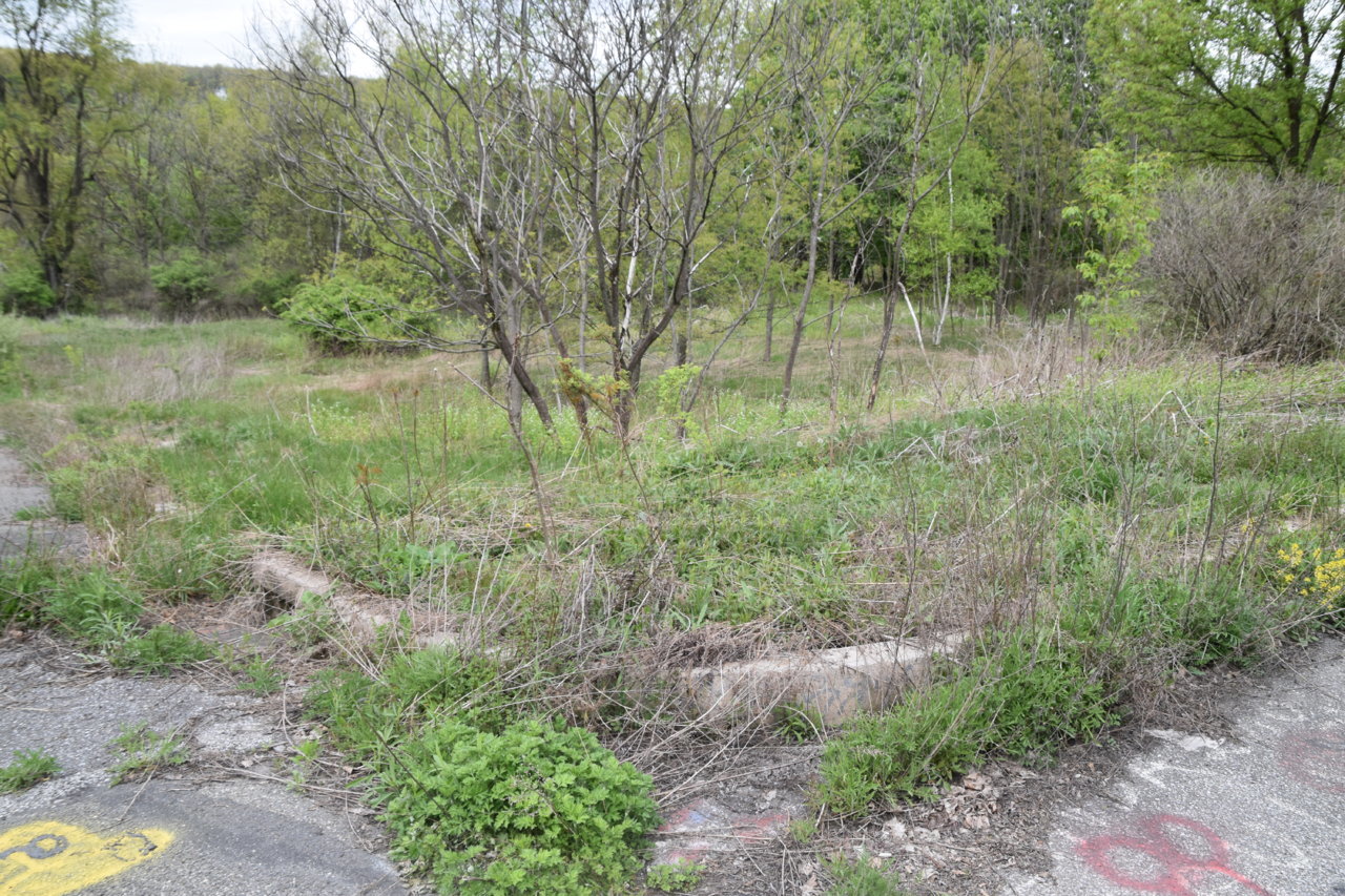 EB1_3124.jpg