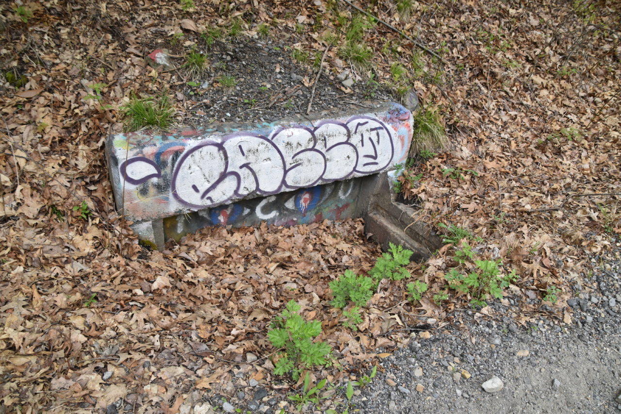 EB1_3207.jpg
