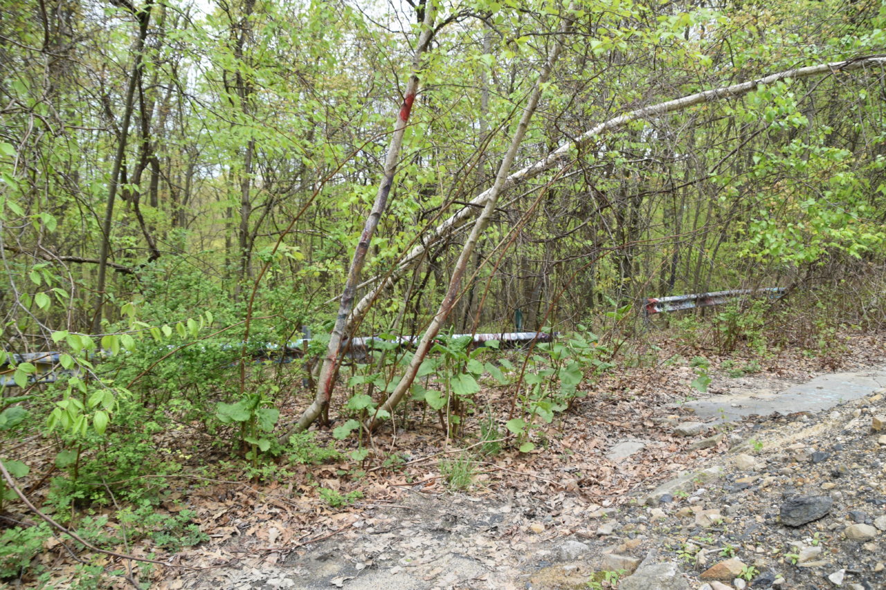 EB1_3218.jpg