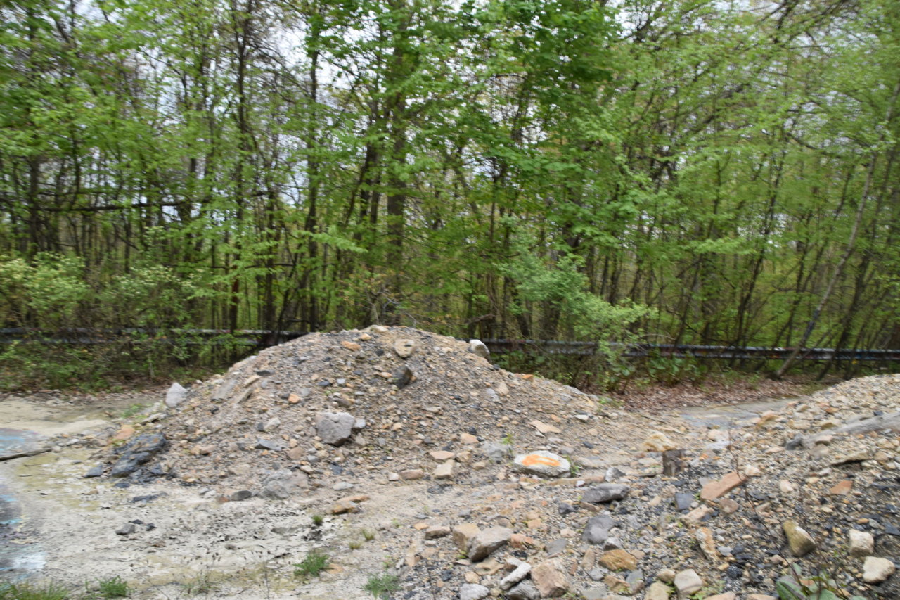 EB1_3235.jpg