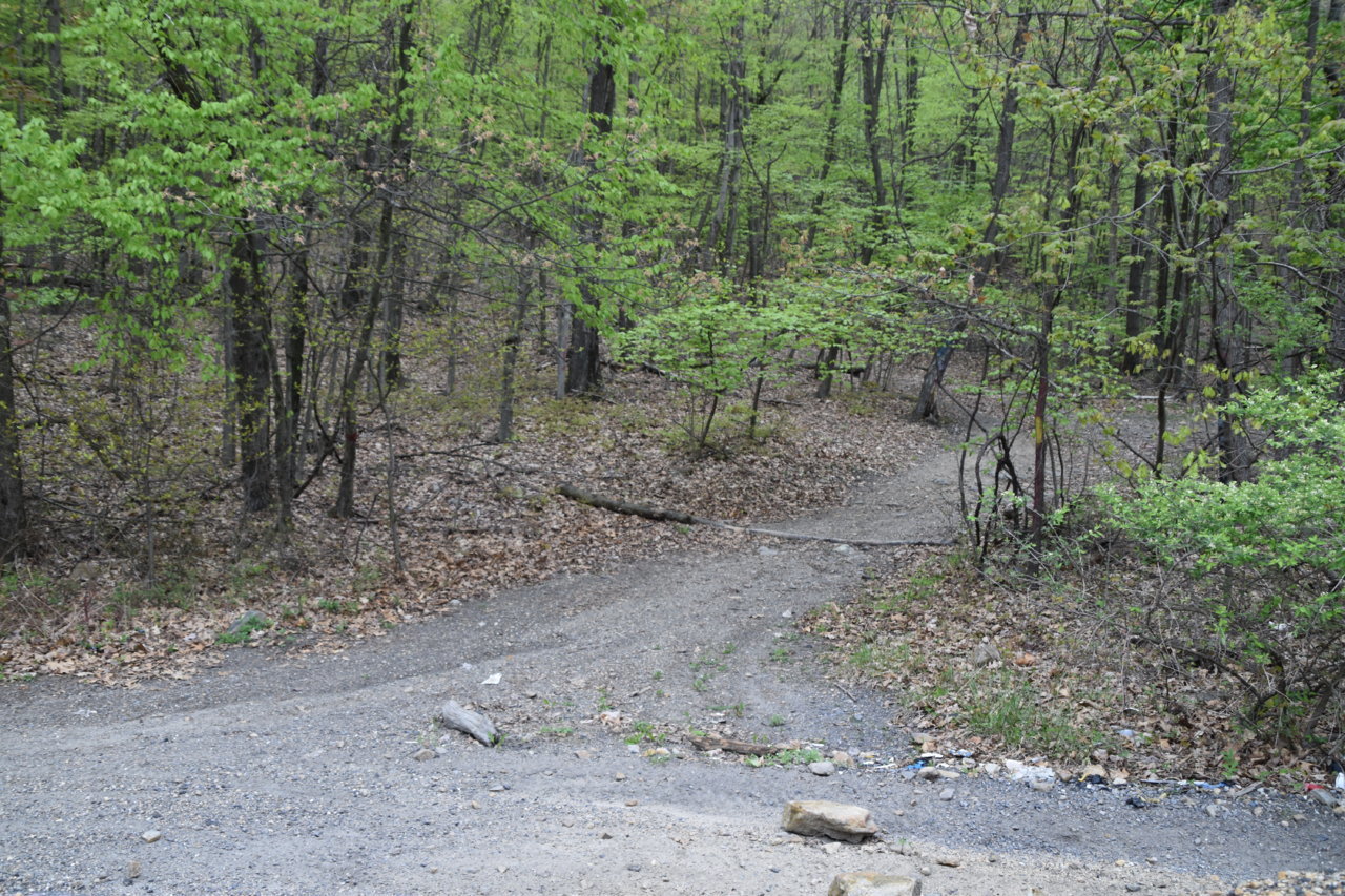 EB1_3255.jpg