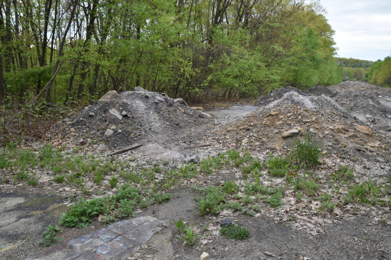 EB1_3257.jpg
