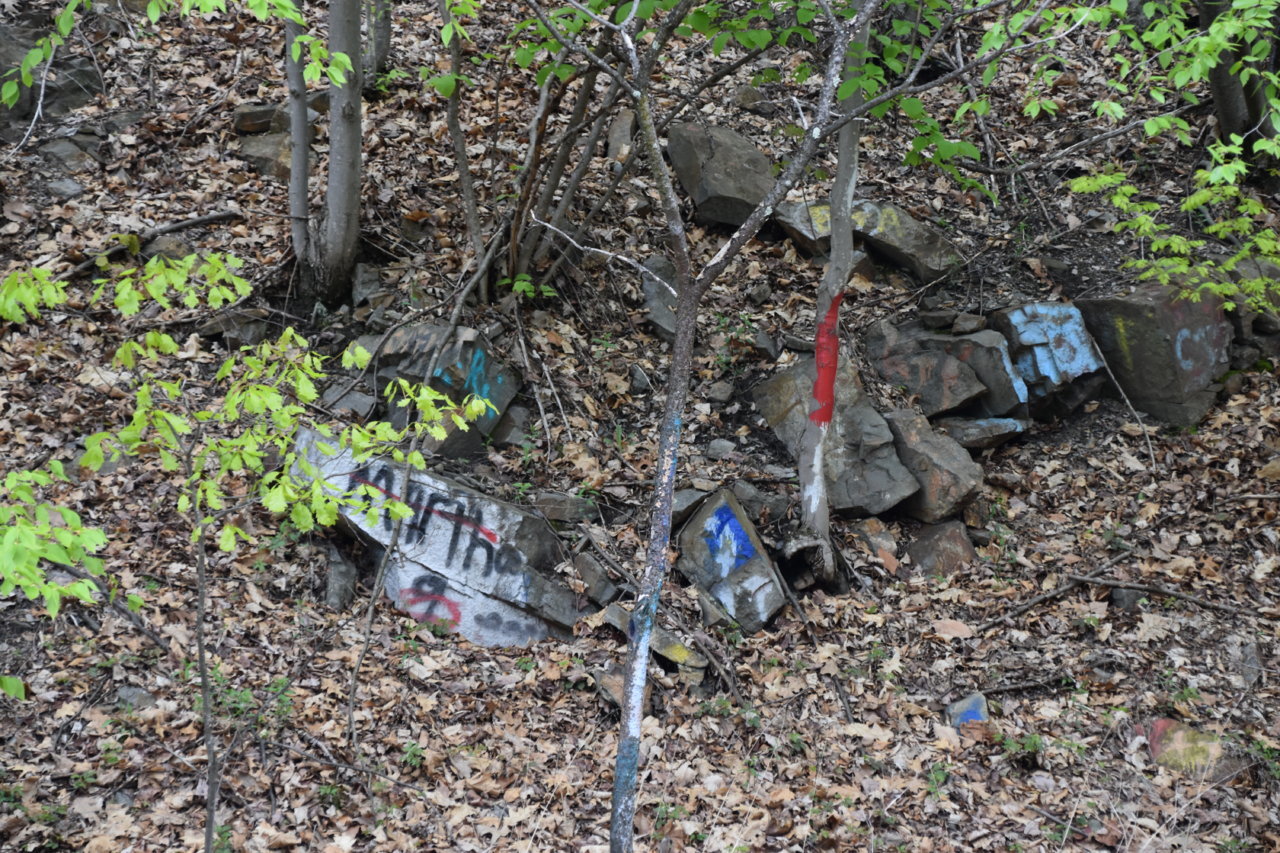 EB1_3260.jpg