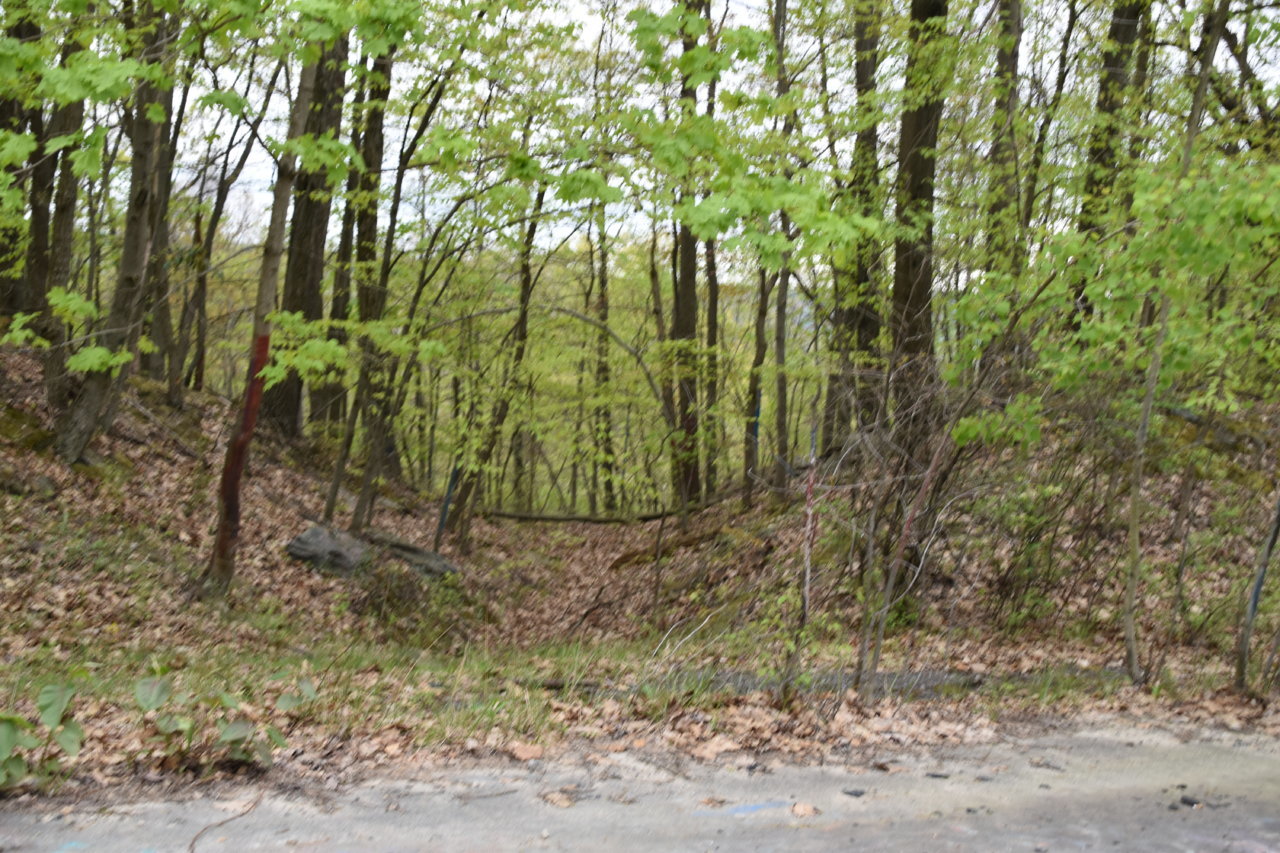 EB1_3261.jpg