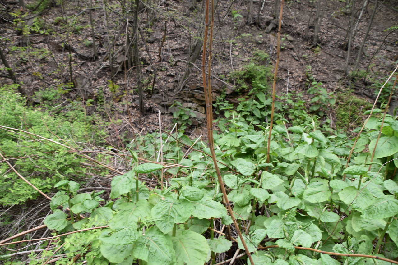 EB1_3283.jpg