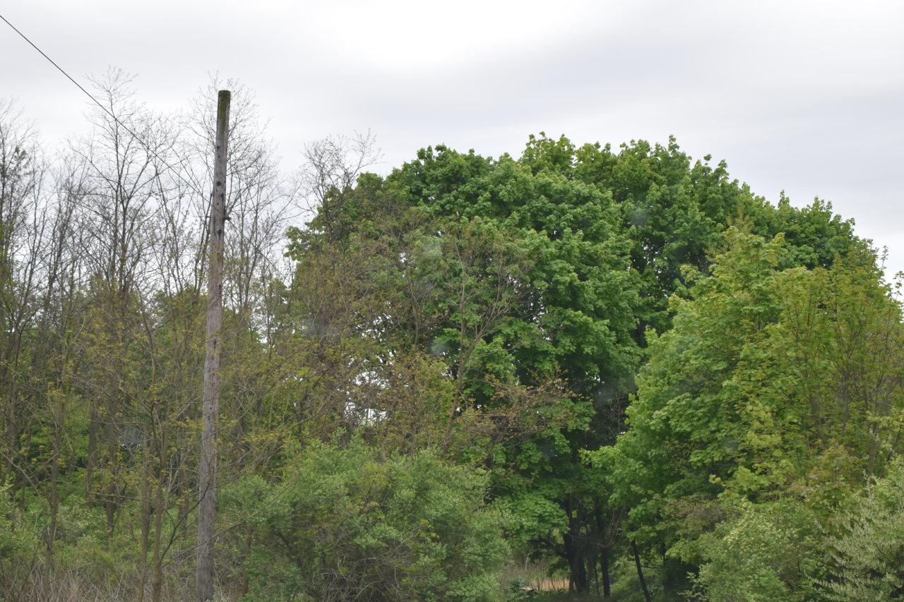 EB1_3288.jpg