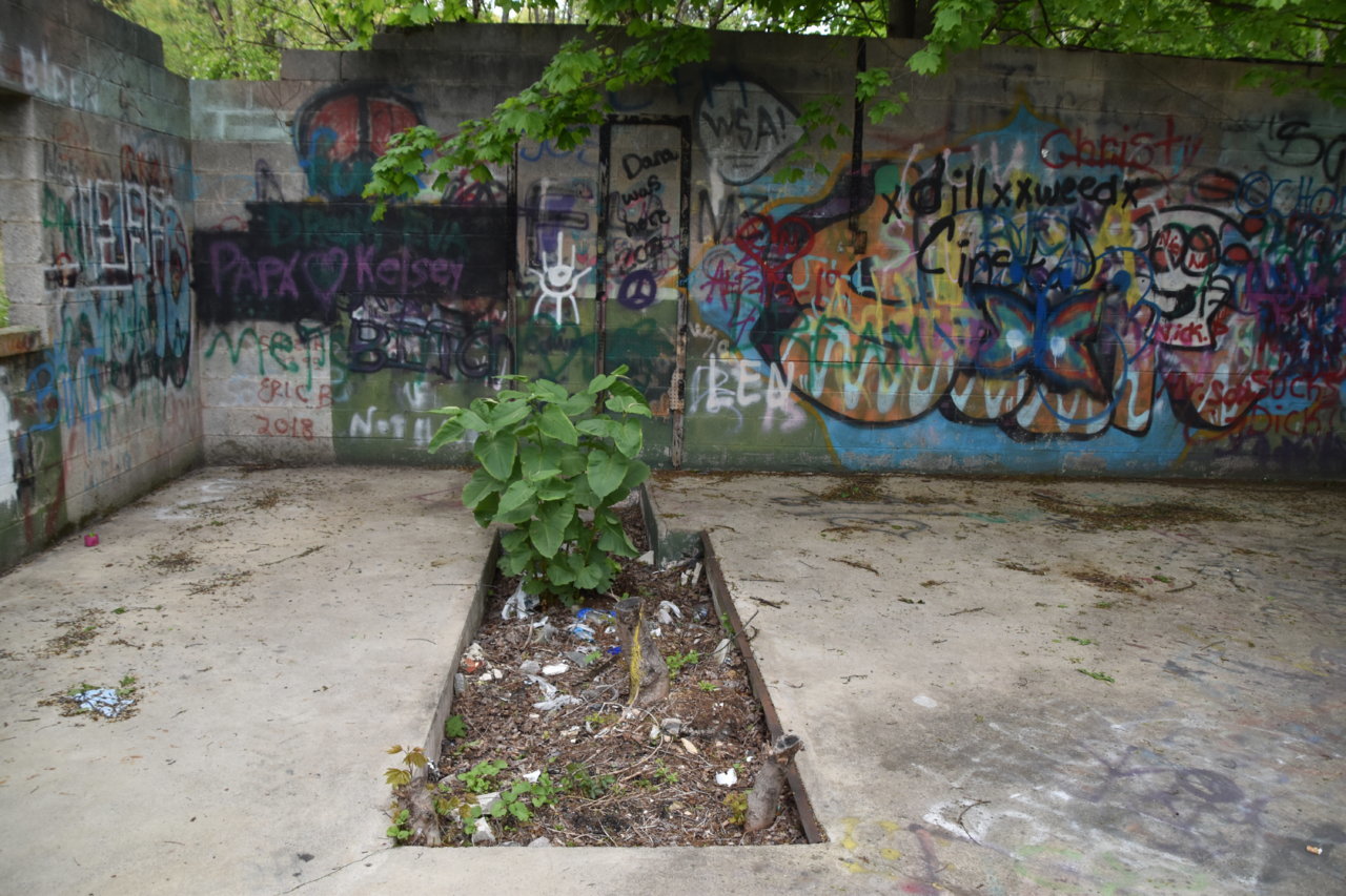 EB1_3295.jpg