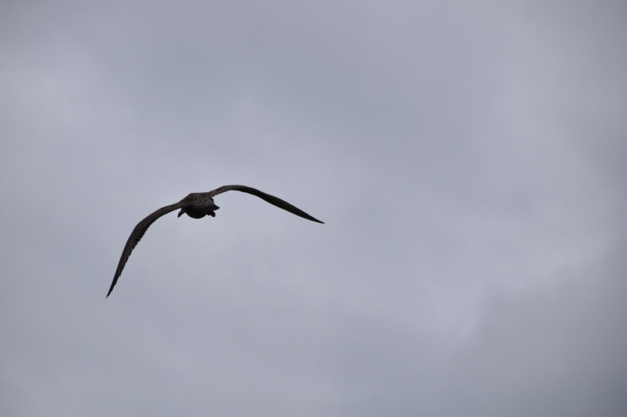 EB1_3315.jpg