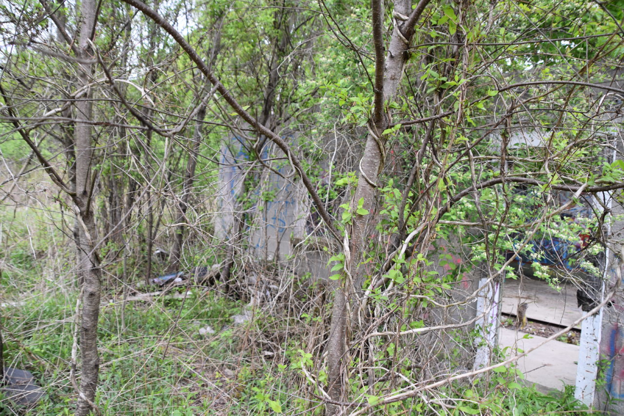EB1_3316.jpg