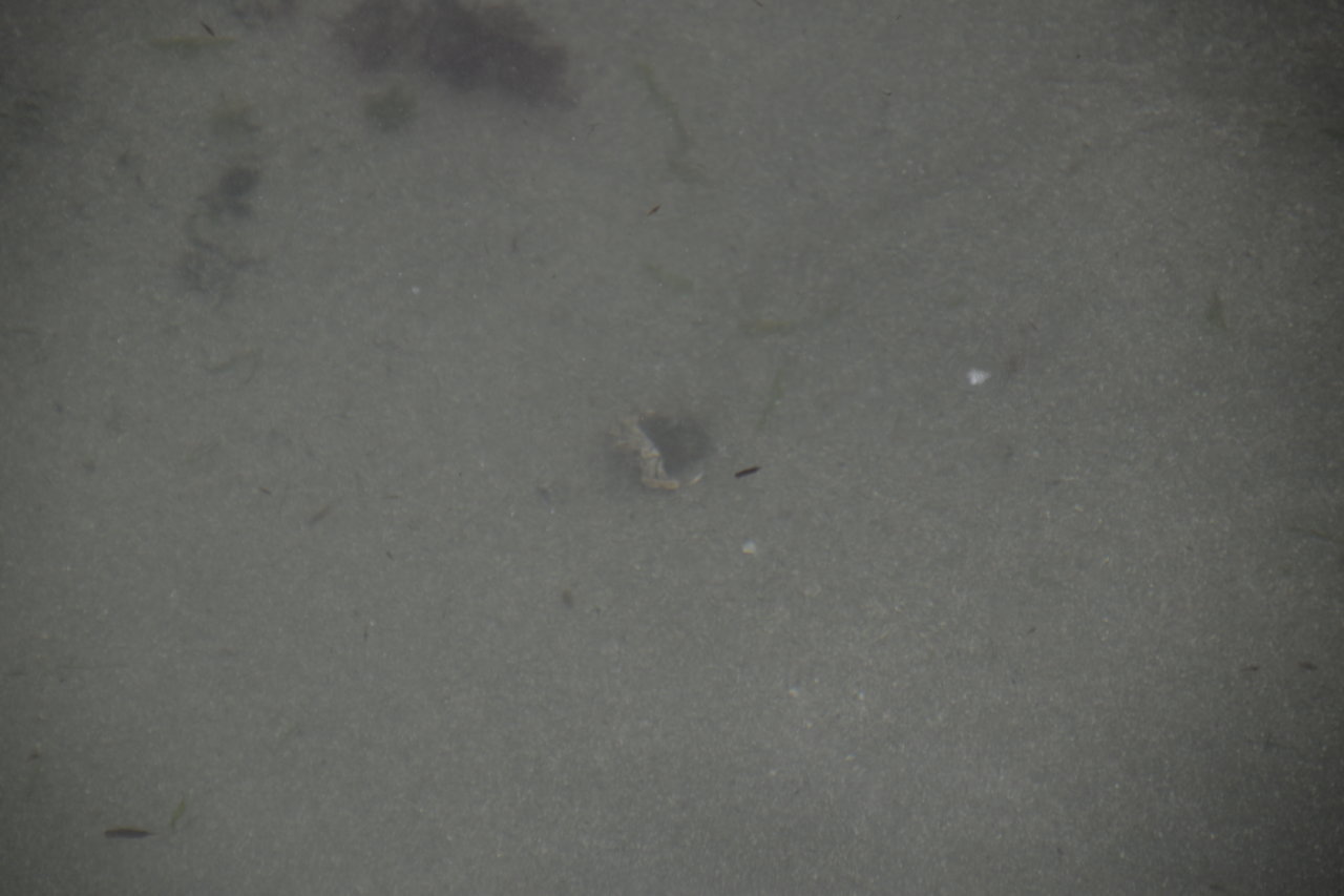 EB1_3325.jpg