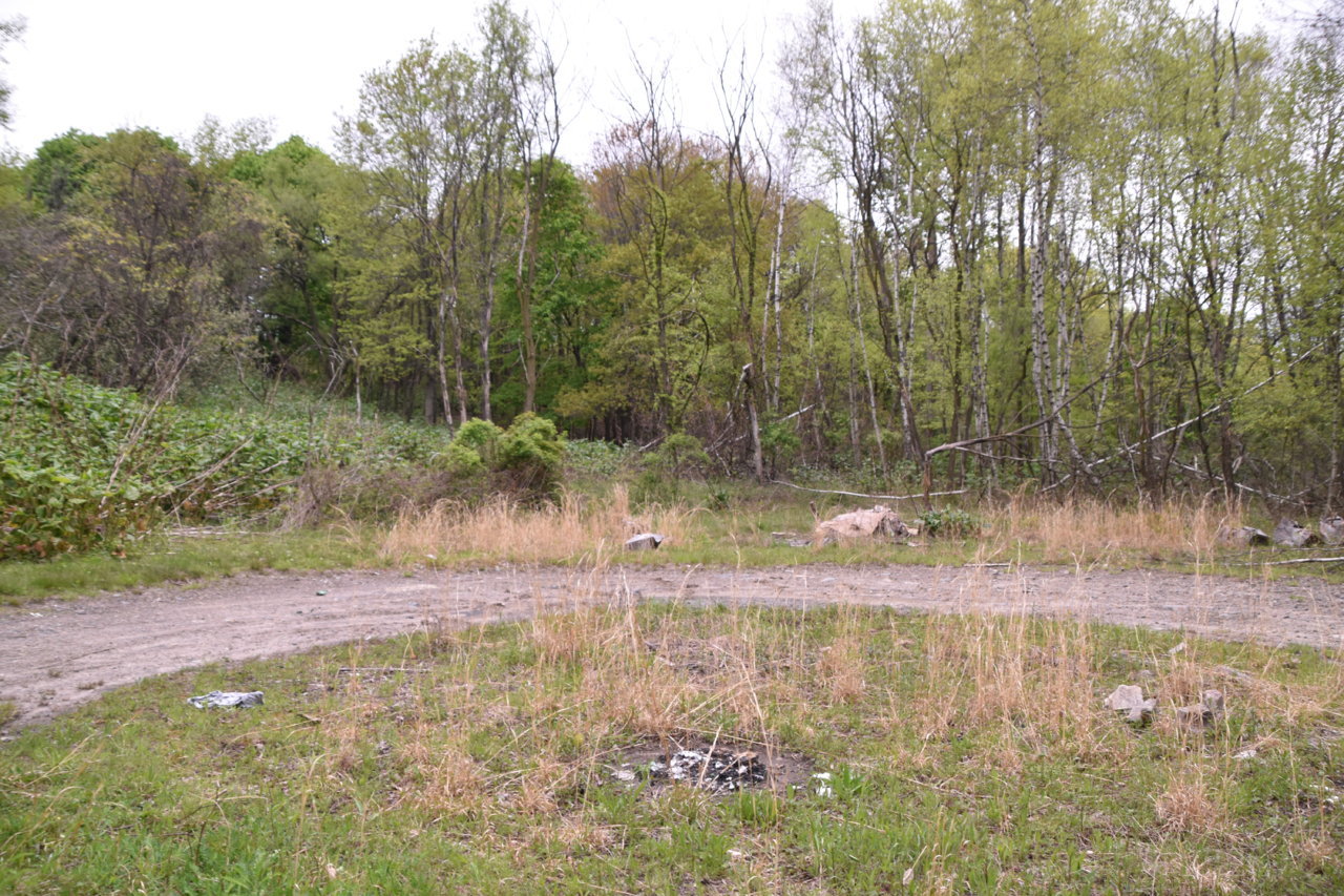 EB1_3330.jpg