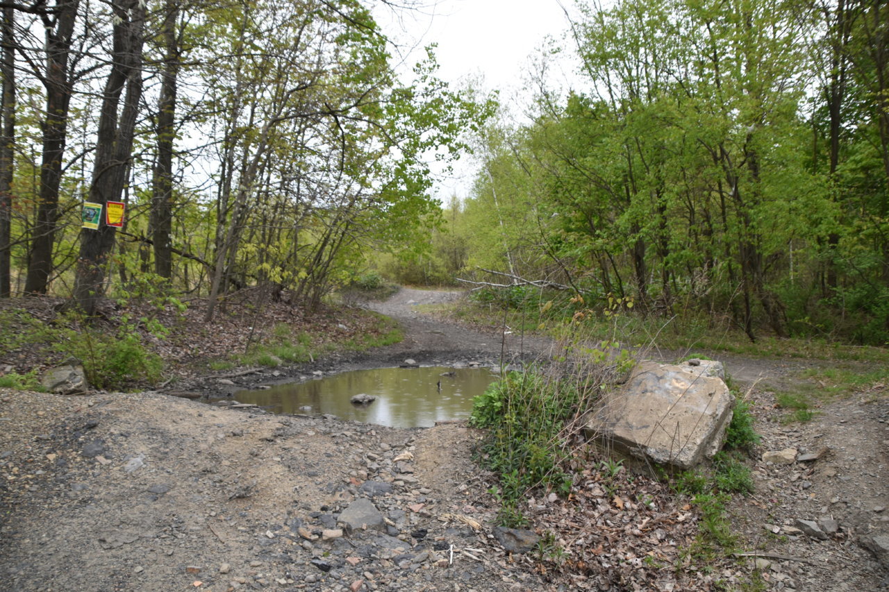 EB1_3352.jpg