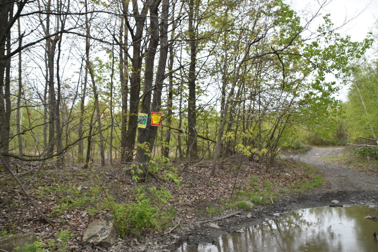 EB1_3354.jpg