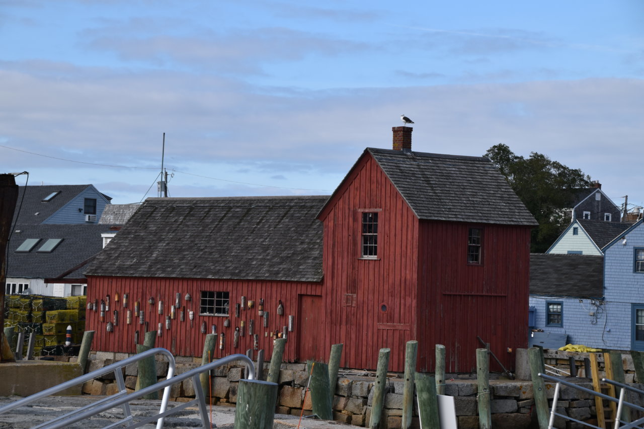 EB1_3512.jpg