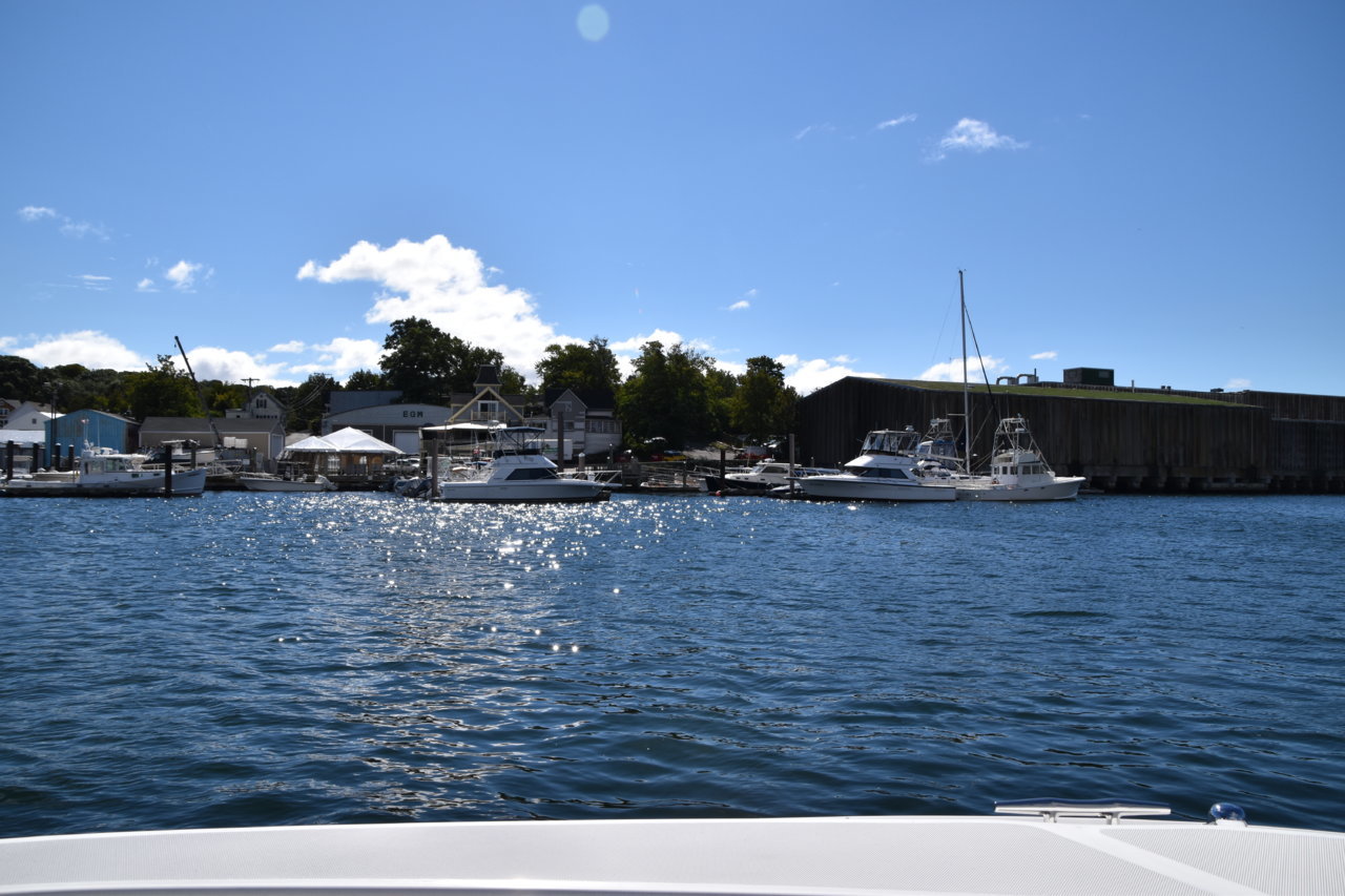 EB1_3660.jpg