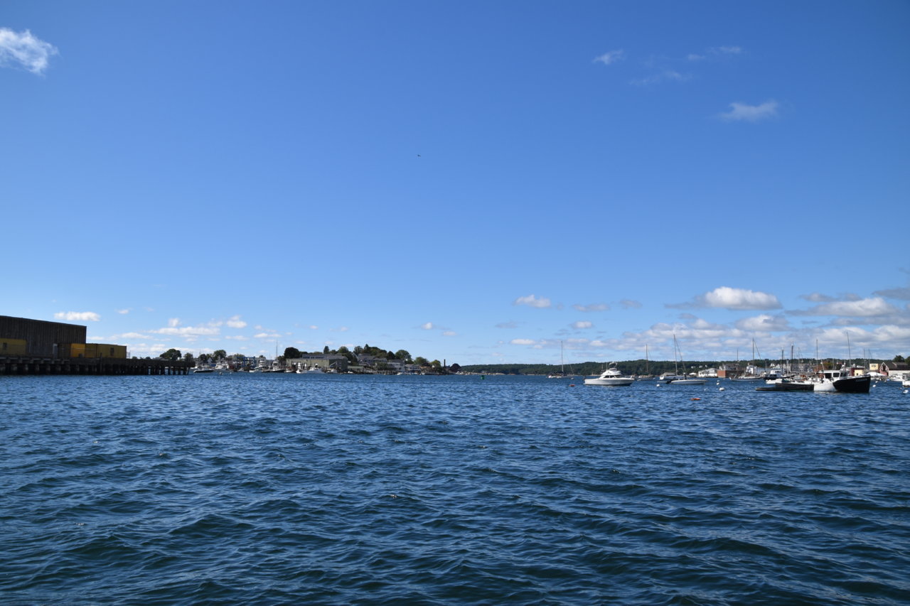 EB1_3663.jpg