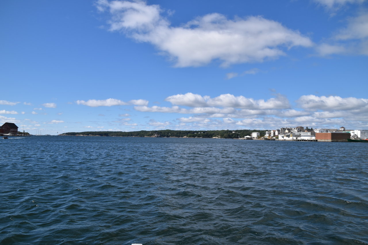 EB1_3671.jpg