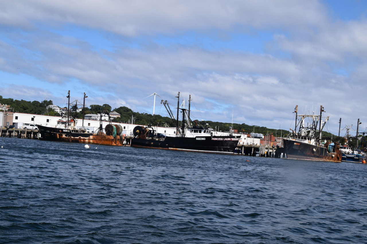 EB1_3726.jpg
