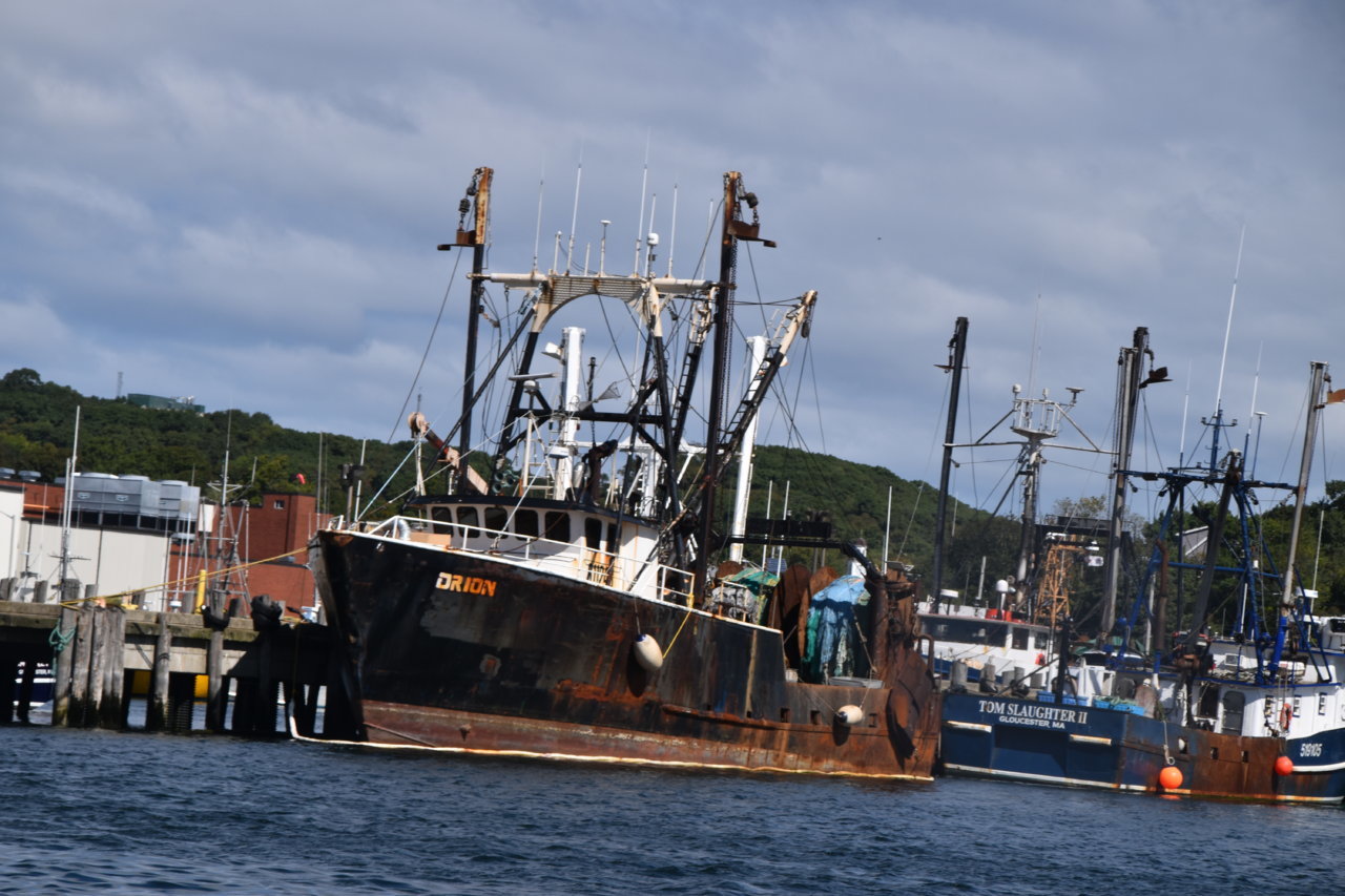EB1_3727.jpg