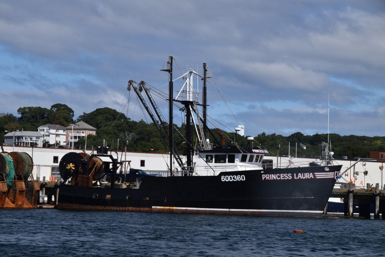 EB1_3728.jpg
