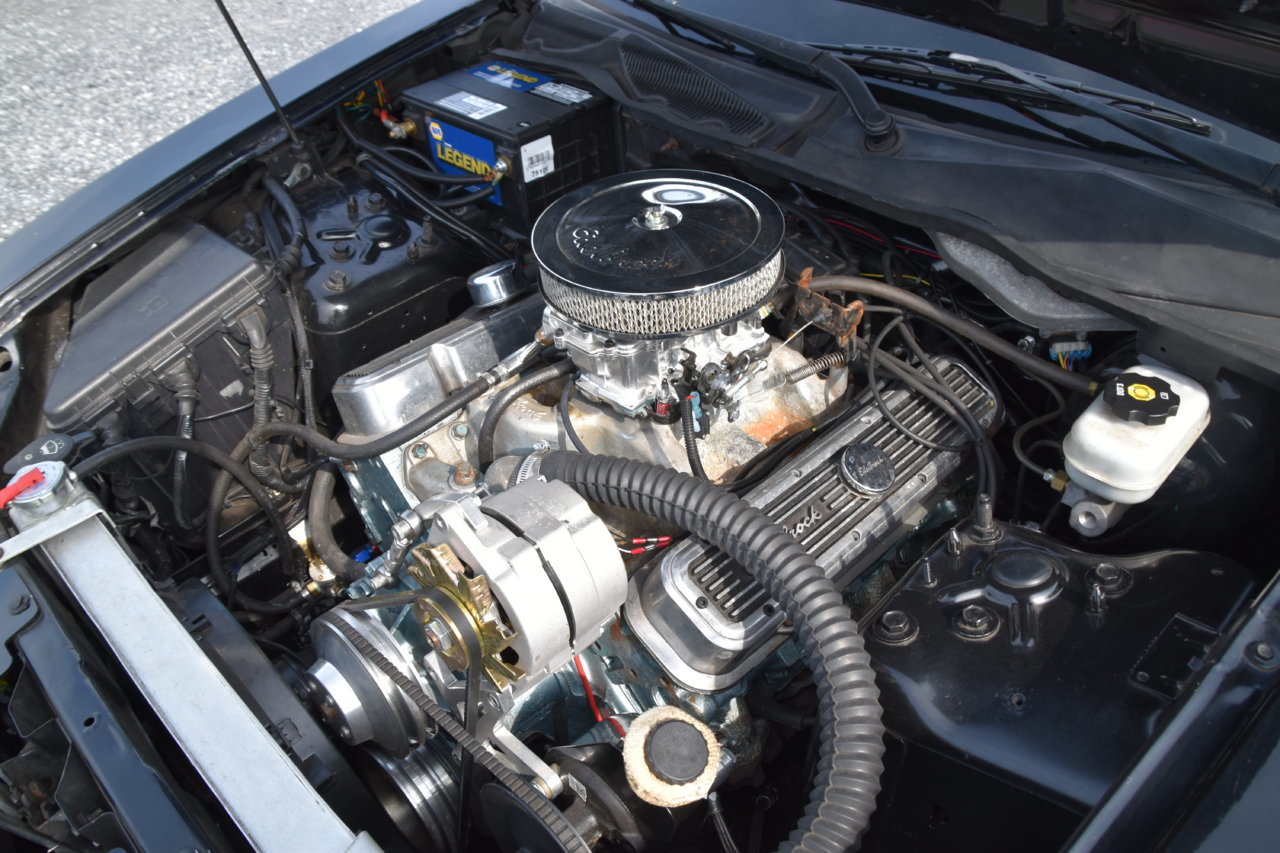 EB1_3818.jpg