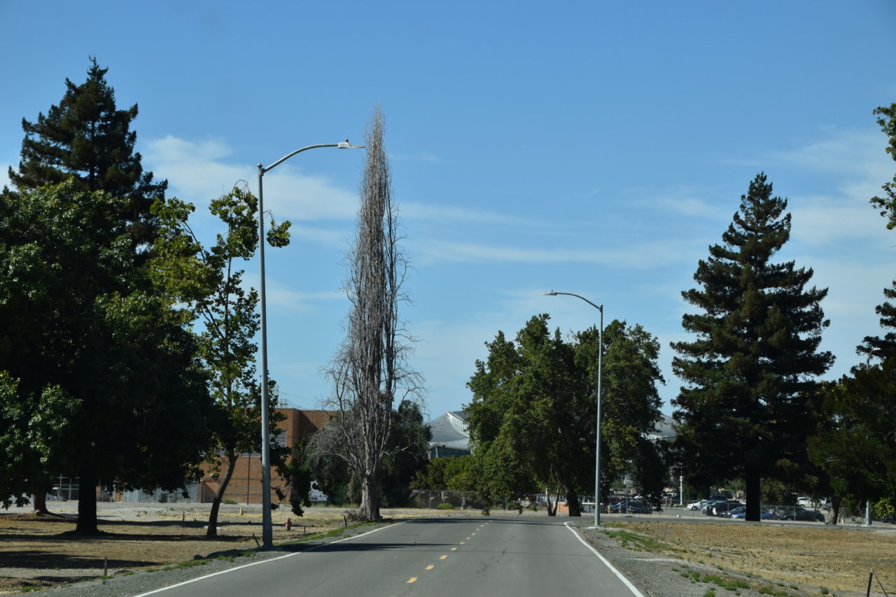 EB1_3832.jpg