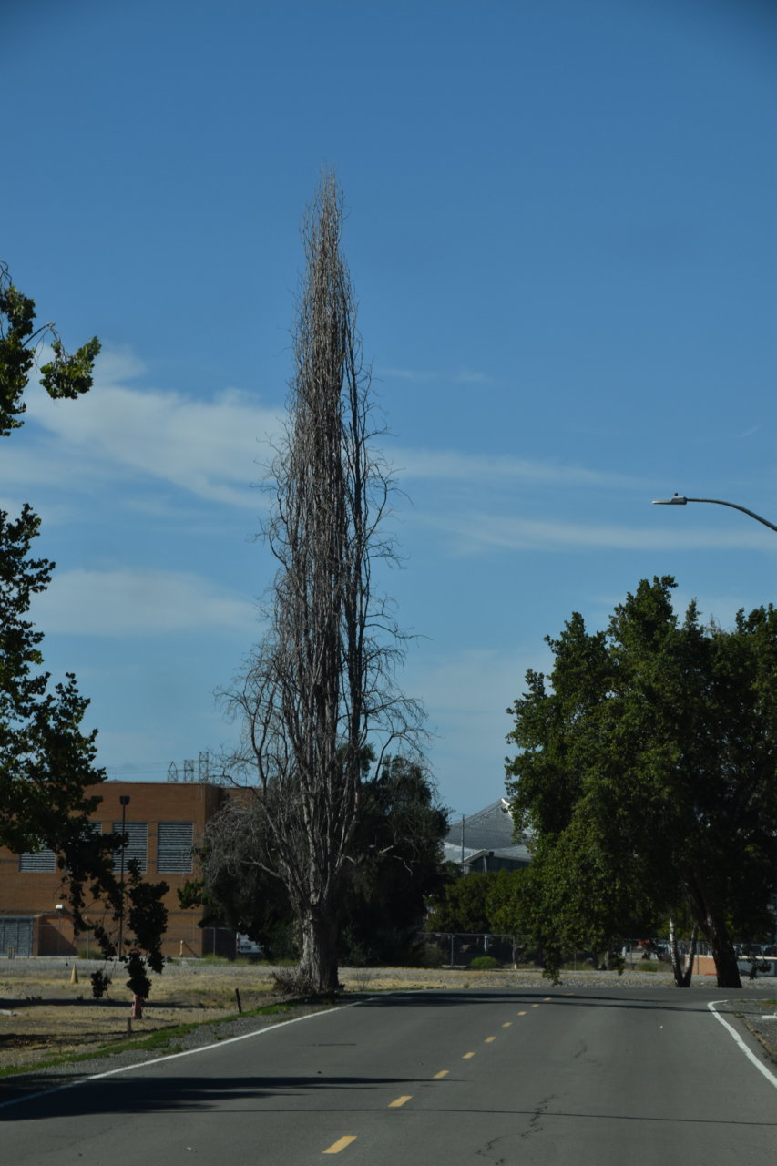 EB1_3833.jpg