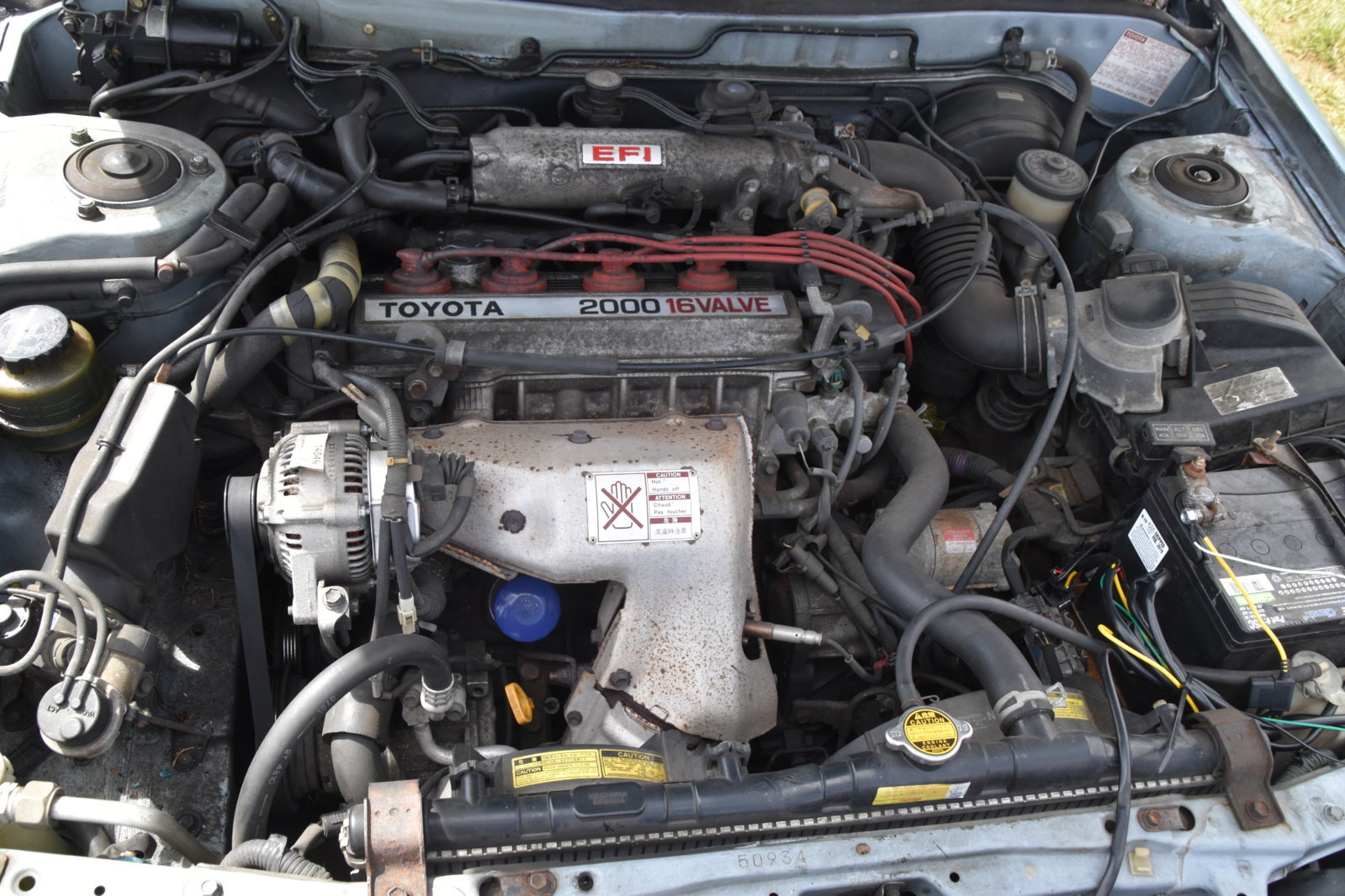 EB1_4610.jpg