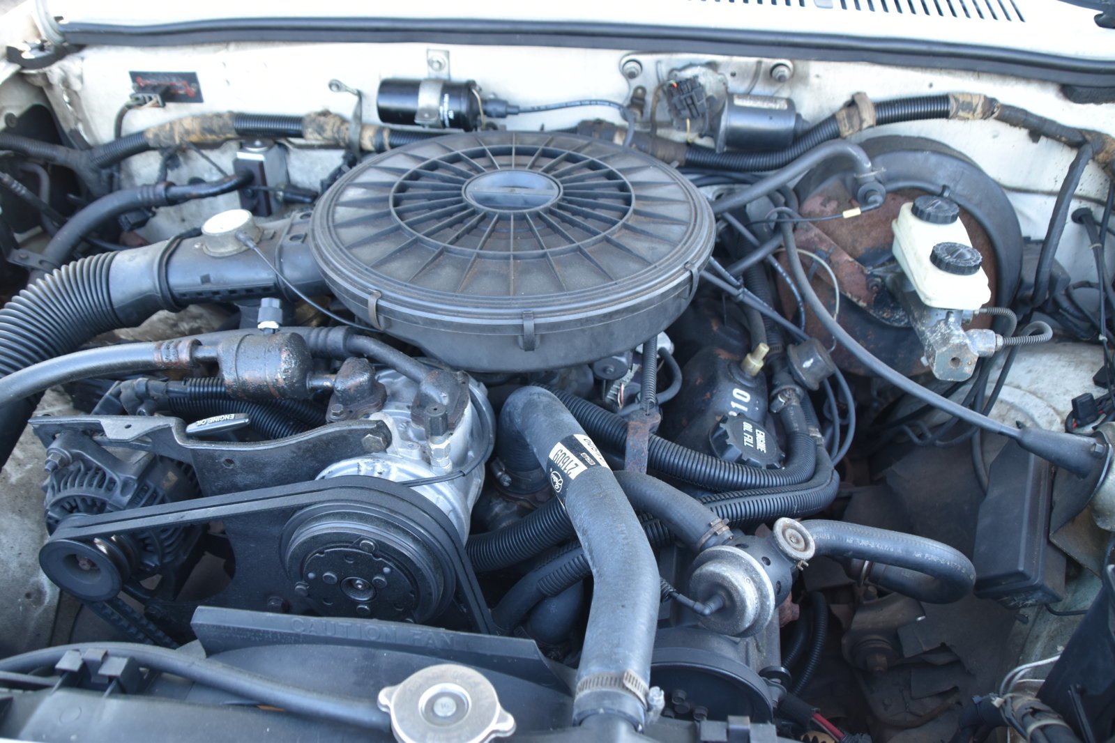 EB1_4734.jpg