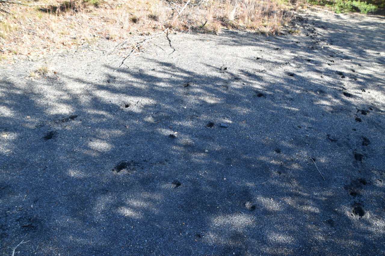 EB1_4778.jpg