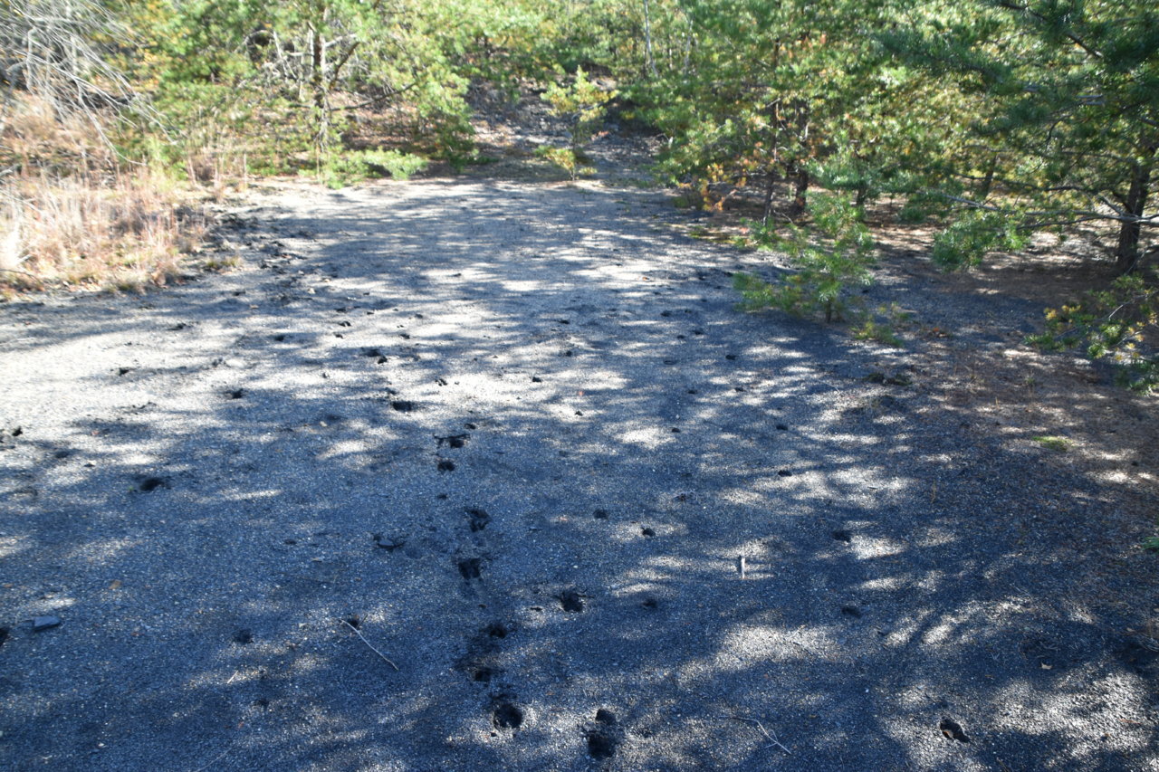 EB1_4779.jpg