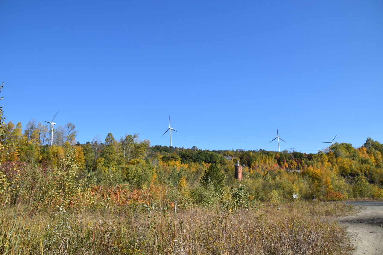 EB1_4788.jpg