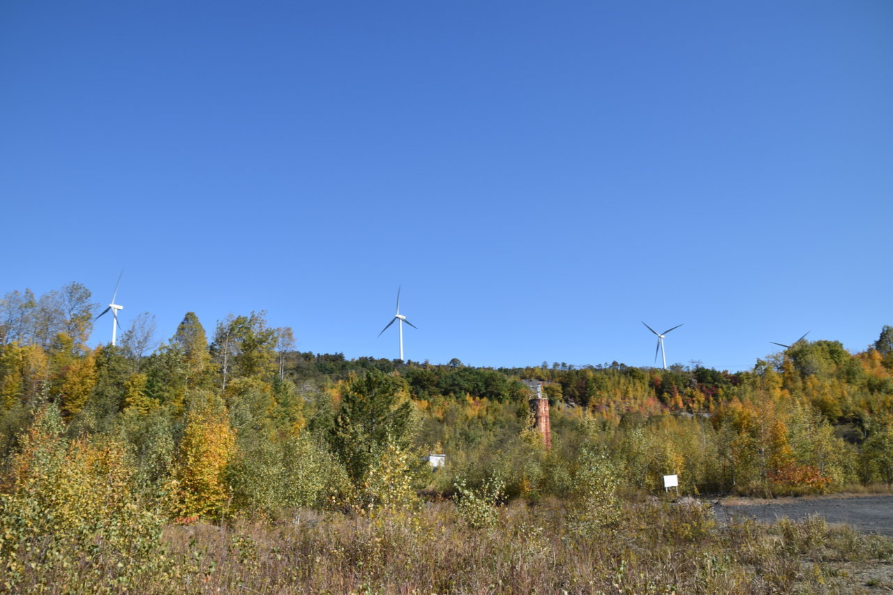 EB1_4789.jpg