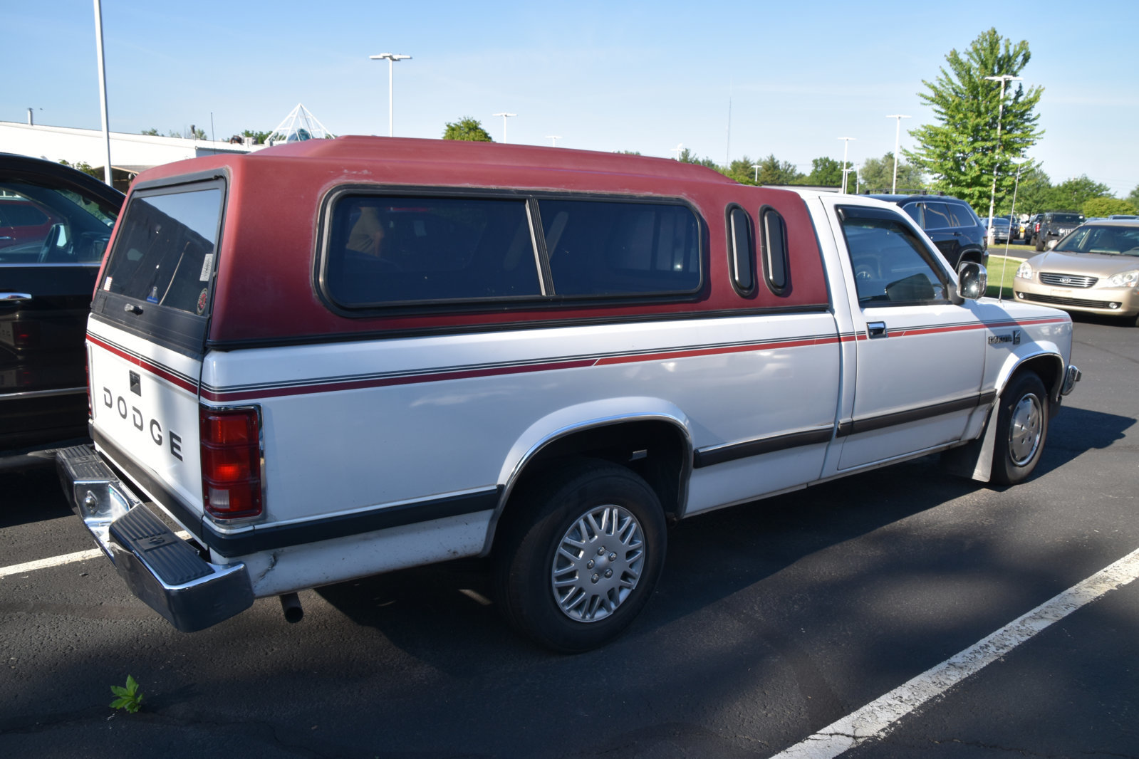 EB1_4797.jpg
