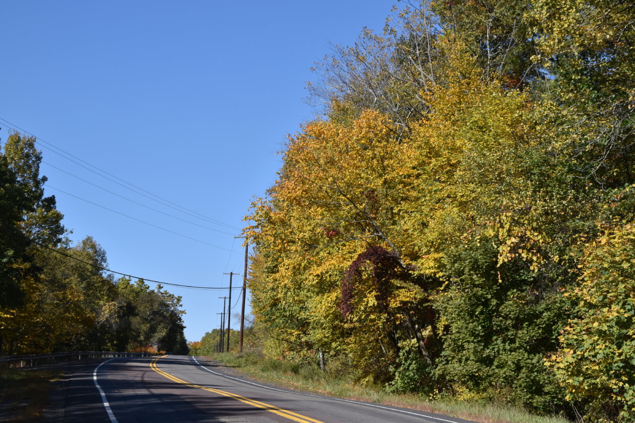 EB1_4810.jpg