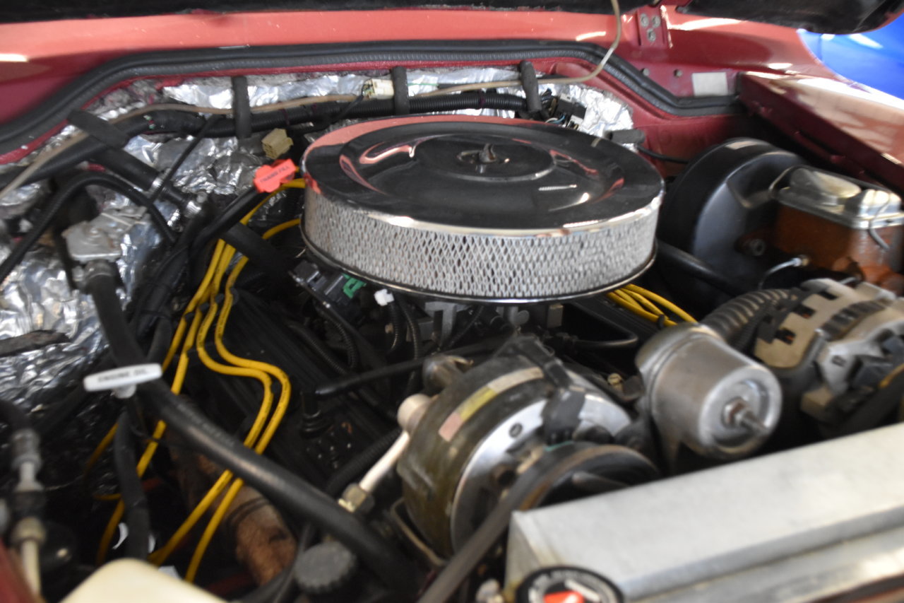EB1_4890.jpg