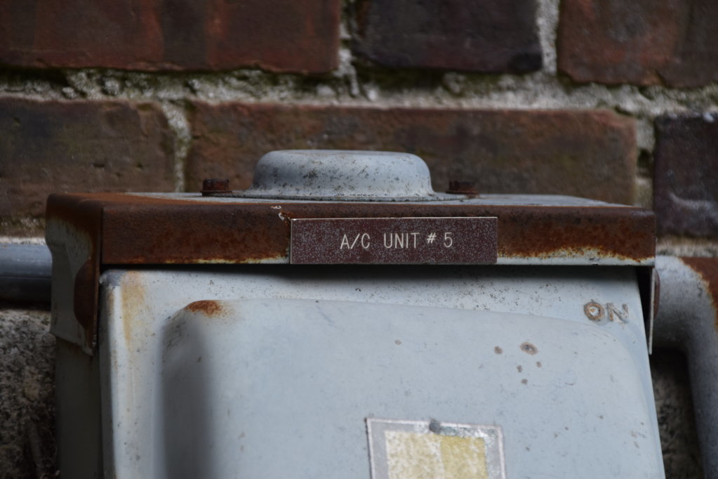 EB1_5087.jpg