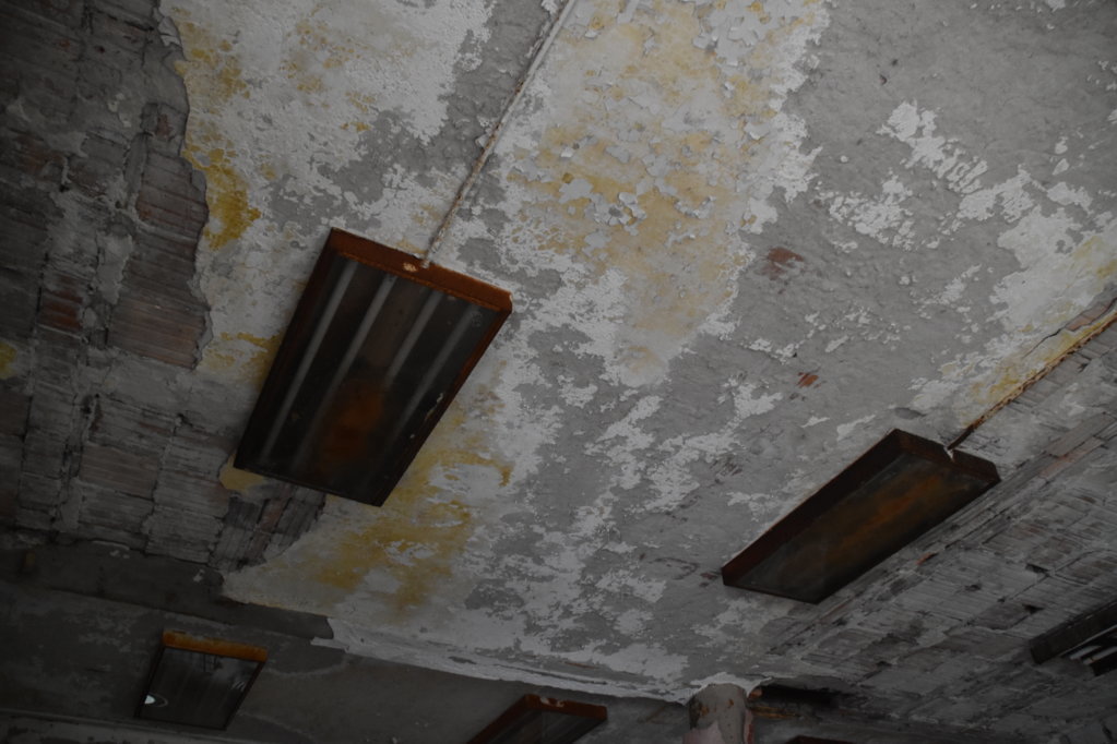 EB1_5343.jpg