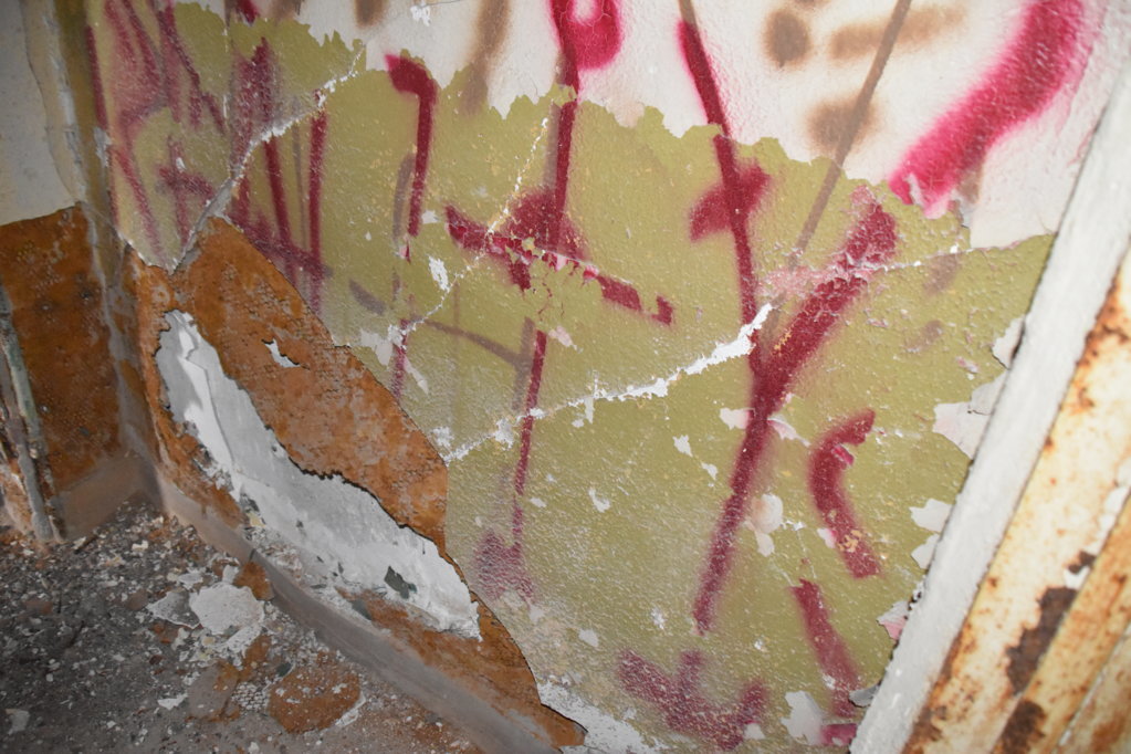 EB1_5372.jpg