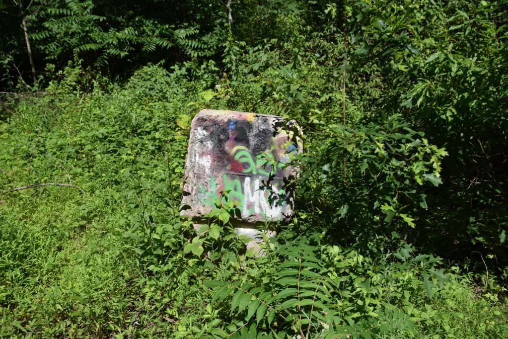 EB1_5668.jpg