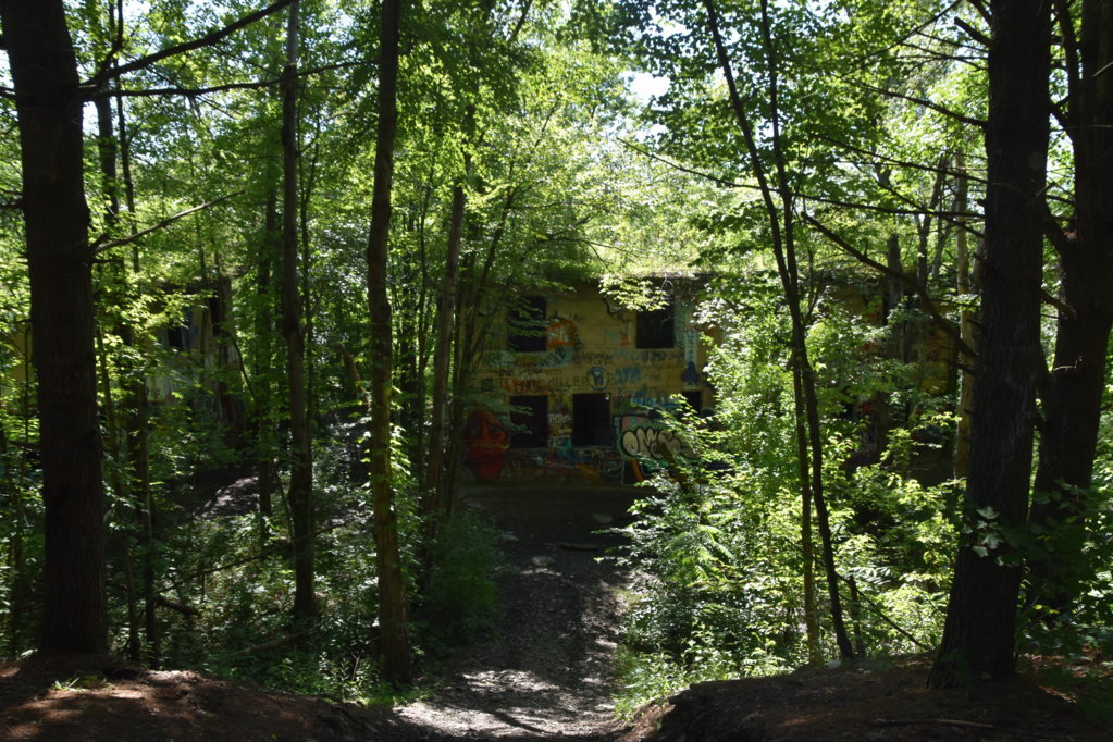 EB1_5672.jpg