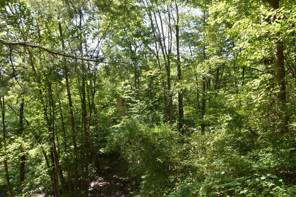 EB1_5674.jpg