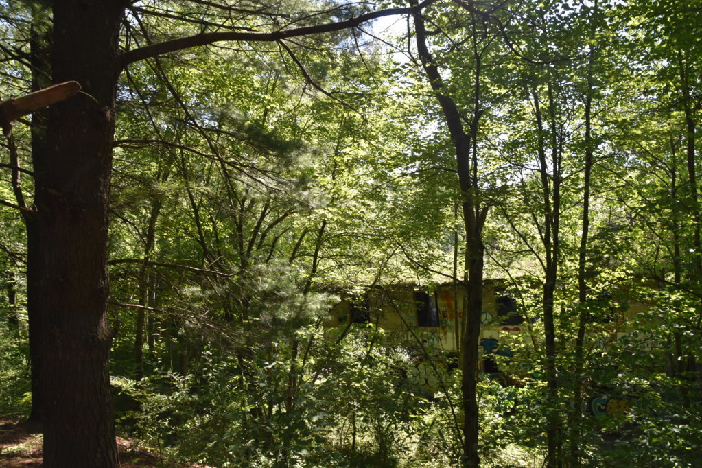 EB1_5675.jpg