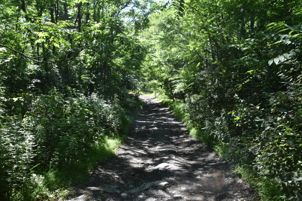 EB1_5676.jpg