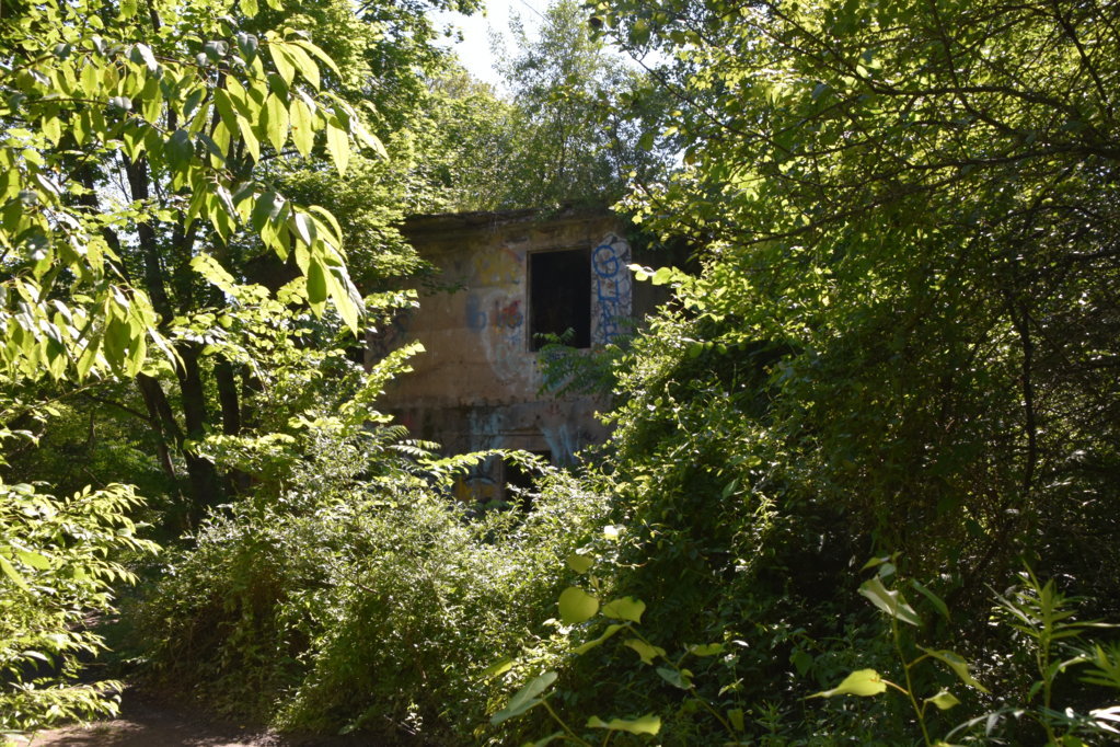 EB1_5678.jpg